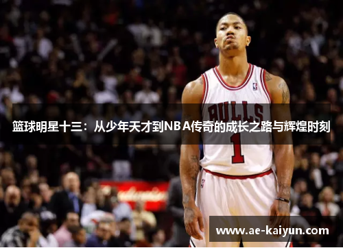 篮球明星十三：从少年天才到NBA传奇的成长之路与辉煌时刻